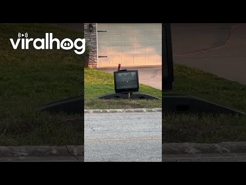 Neighbor's Old Television Ominously Cackles || ViralHog