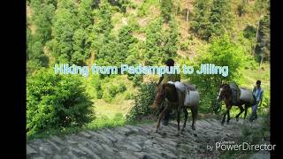 preview picture of video 'Hiking from Padampuri to Jilling || Nainital || Uttarakhand'