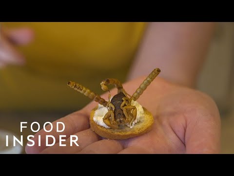 美國人為什麼不吃蟲子 (Why Americans Don’t Eat Bugs)