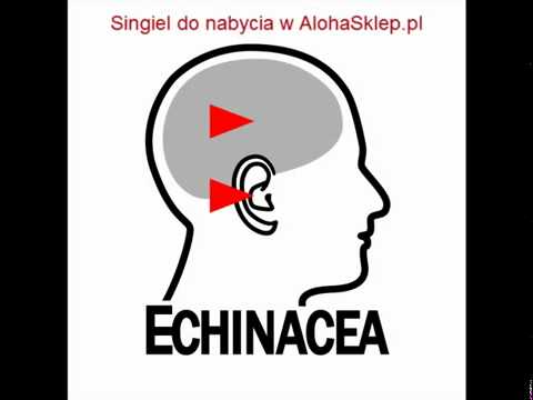 Echinacea - Czekając na falę (feat. Numer Raz)