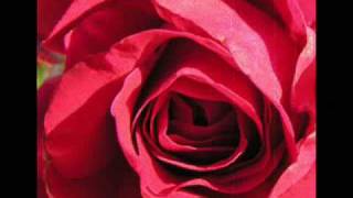 "Paris ma rose "chanté par Serge Reggiani