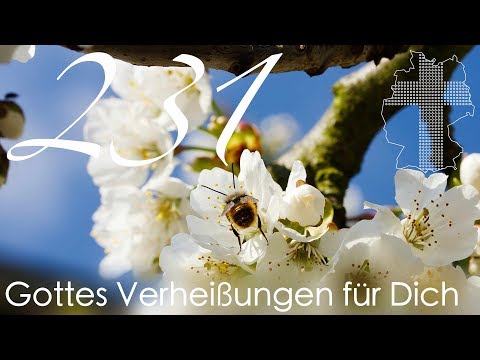 Gottes Verheißungen für Dich - 1. Korinther 6,20 | Videokalender 231/365 - Deutschland braucht JESUS