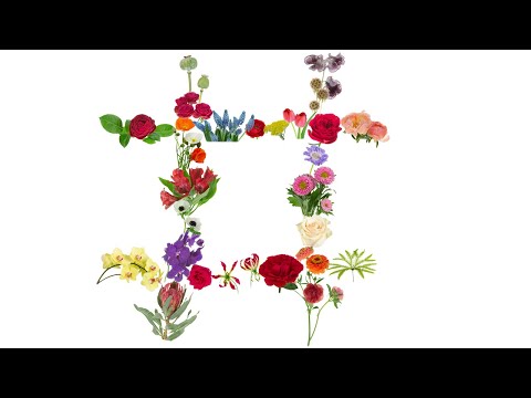 Hiding Your Hashtags