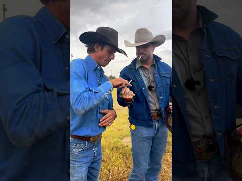 Texas Wrestler Damo runs into JB Mauney ​​⁠@pbr ​⁠@RodeoTime