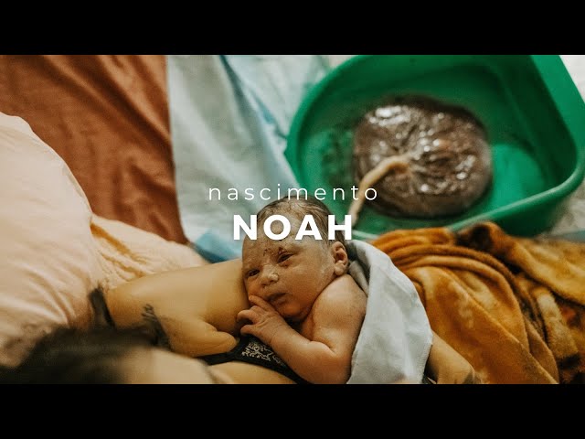 video de parto domiciliar'