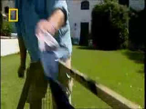 Jem's Carbon-Neutral Dish | Planet Mechanics | National Geographic UK