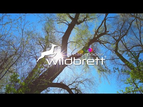Nature Stock Footage [018] - Zeitlos schön - Wildbrett Naturboden