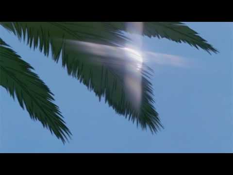 NxxxxxS - 1000 Blunts