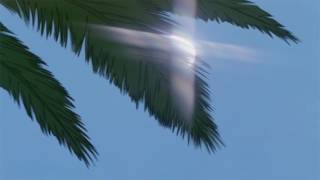 NxxxxxS - 1000 Blunts