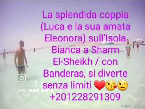 🌟 gita Isola bianca o Isola che non c'è o maldive Egitto Ogni giorno Dalle 8:00 mattina Alle 16:45 👇 - Video 2