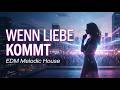 Lotte - WENN LIEBE KOMMT  | EDM Melodic House