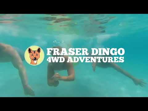 Fraser Dingo 4WD Adventures