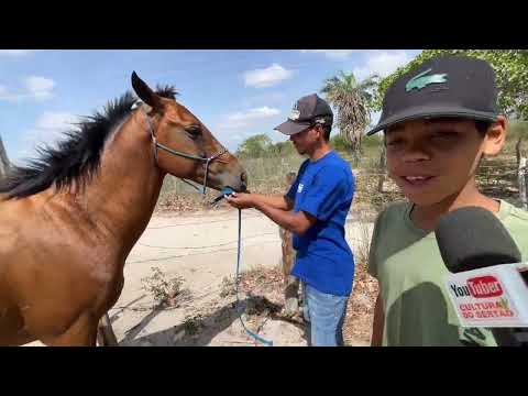 Feira de Cavalos do Bola em Monteiropolis - AL 18 - 01 - 2026 #nordeste
