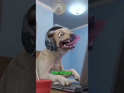 Köpekler Su İçmiyor, Suyu Yiyor! 🐶💧