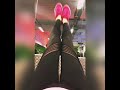 FeelinGirl Black Women Sports Workout Capris Fitness Leggings