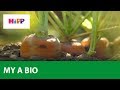 Príkrm a výživa HiPP Bio Špenát se zeleninou a brambory 125 g
