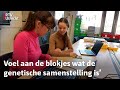 Kinderen met visuele beperking krijgen biologieles met Lego Braille Bricks | RTV Utrecht