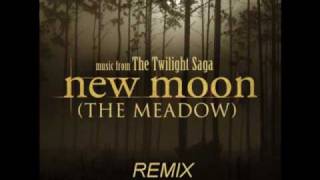 Alexander Desplat - The Meadow - Techno Remix