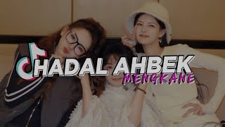 Download lagu DJ HADAL AHBEK SLOW BASS MENGKANE VIRAL TIKTOK 🎶 mp3
