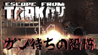 【EFT実況】ガン待ちの恐怖PMC6Kill