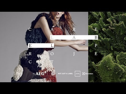 download lagu mp3 mp4 Care Label Project, download lagu Care Label Project gratis, unduh video klip Care Label Project