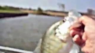 preview picture of video 'Fishing Lake Conroe Texas - Crappie !!'