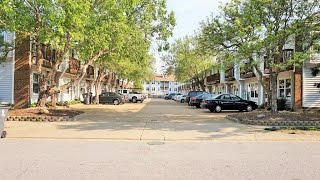 Homes for Sale Virginia Beach - 2302 Sandollar Court Virginia Beach VA 23451- Sold
