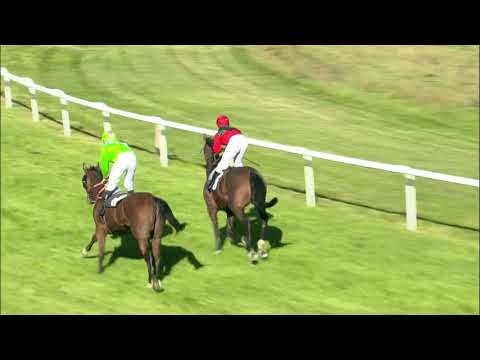 Galopprennbahn Dresden - 29.09. 2018 - Rennen 5
