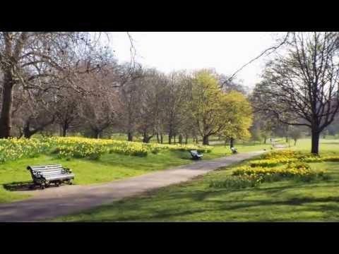 London Parks - Green, St. James, Hyde an