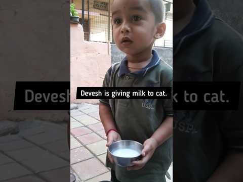 Devesh likes animals so much | Devesh with cat #devorld @LoveAnimals06