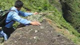 Ocotal grande - Inducción