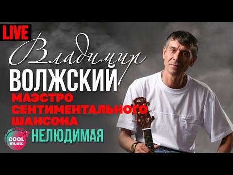Владимир Волжский - Нелюдимая (Маэстро сентиментального шансона, Live)