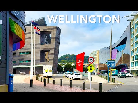 Peaceful Waterfront Walk Just Minutes from the CBD | Wellington, New Zealand