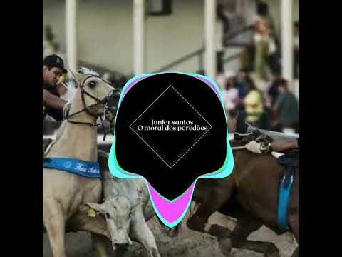 TARCÍSIO DO ACORDEON: Papai é empresário.