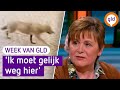 Sylvia de Wolf staat oog in oog met een wolf