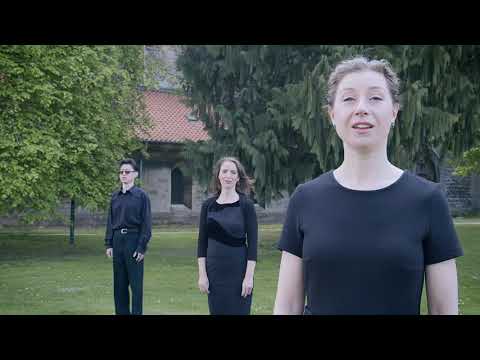 Chor des Staatstheaters Braunschweig: »Ave verum« & »Tantum ergo«