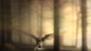 I&#39;ll See You Someday (Forty Foot Echo)