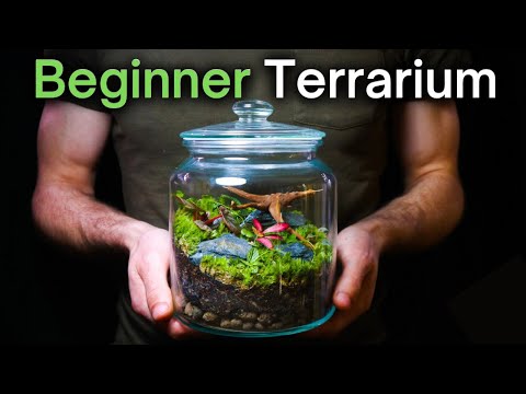 How To Make a Terrarium: An In-Depth Tutorial