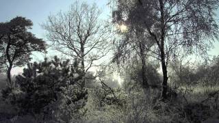 Laura Jansen Signal, covered by Anna, 13 years old, singing and playing, her first recording!!