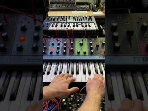 Thumbnail for #shorts Tangerine Dream style synthwave cinematic walking music Grandmother Tempest OB-6 by Ethan James
