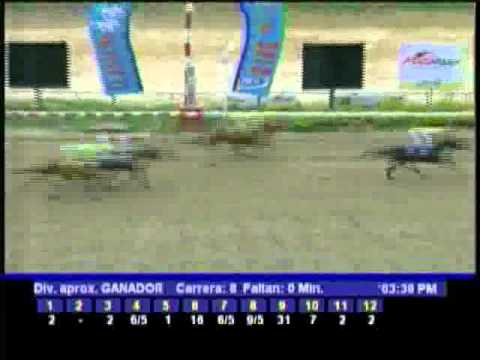 Resumen Domingo, 05 de Febrero de 2012 - La Rinconada