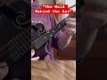 “The Maid Behind the Bar” - Irish Mandolin #mandolin #irishmandolin #irishmusic