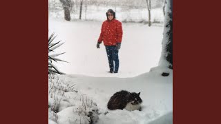 I'll Be Home for Christmas