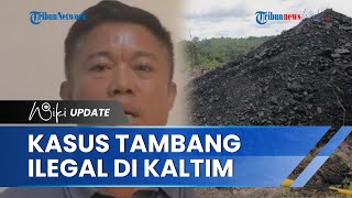 Fakta Tambang Ilegal di Kaltim: Pakai Kawasan Konservasi Orang Utan, 3 Perusahaan Besar Terlibat