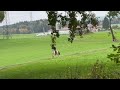 Poney demi-sang belge &agrave; vendre