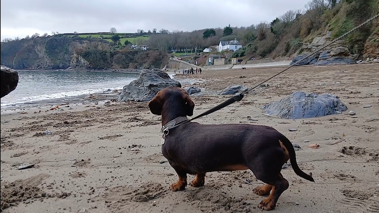 Cornwall, Our First Day