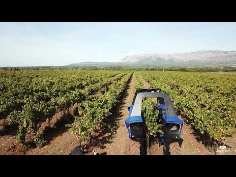 Robot Bakus Vignoble Sainte Victoire