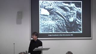 Simon Schaffer: Understanding (through) Things