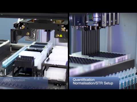 Hamilton's ID STARlet