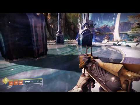 DESTINY 2 🔴 КОРСАР В БЕДЕ 🔴 сообщение о каком-то саде